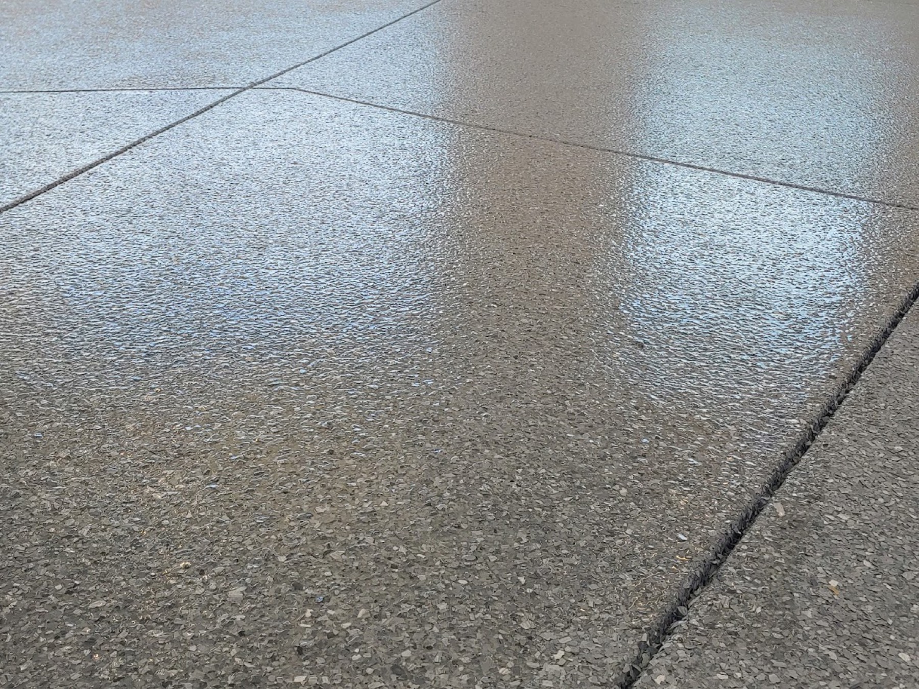 Garage epoxy chip floor — Vine Cliff